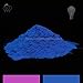 Glow in the Dark Powder, Fluorescent Purple to Blue (10 Grams)