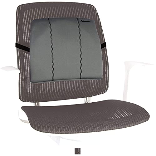 Fellowes - 9190901 - Office Suites - Support Dorsal Fin en Tissu - Gris