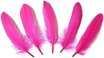 Goose Feather,Hgshow 100Pcs Beautiful Feathers 6-8 inches 15-20 cm, Choose Color Useful Charming