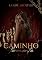 Livro No caminho da Tormenta : O Senhor das Bets (A ascensão do crime)