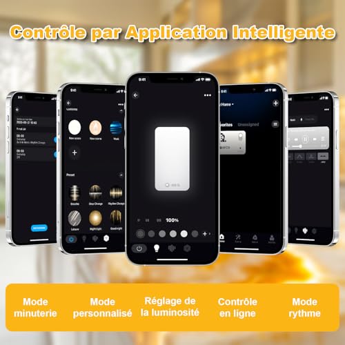 LED Backlight Warm White Light 3000K 24V 36W, Dimmable Panel Compatible with Alexa, LED Light Panel with Remote Control & APP, 50 x 24.5 cm for Marble, Translucent Worktop (4 Pack)
