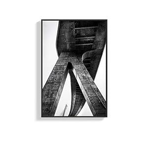 SIGNFORD Framed Canvas Wall Art for Living Room,...