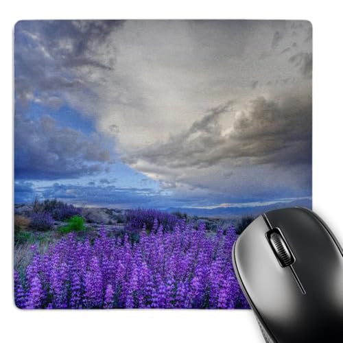 3dRose Mouse Pad USA, California, Sierra Nevada Mountains, Inyo Bush Lupine Blo…