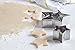 Fox Run Star Shaped Cookie Cutter Set, 6-Piece Plus Storage Tin, Stainless Steel