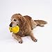 TuhooMall 12-15cm/ 4.7-6 Inch Squeaky Fruits and Vegetables Plush Puppy Dog Toys for Small Dogs