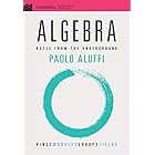 Algebra: Notes from the Underground (Cambridge Mathematical Textbooks)