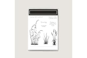 SRWVEYW 2025 Stamps and Dies Sets for Card Making,Dies and Stamps Set,DIY Various Festivals Album Scrapbooking Birthdays Greeting Card (3241)