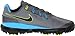 NIKE Golf Men's NIKE TW '14 Golf Shoe, Cool Grey/Vivid Blue/Metallic Dark Grey/Black, 9 D(M) US