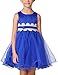 GloryStar Girl's Bubble Skirt Lace Flower Princess Dress