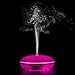 1byone Essential Oil Diffuser, 350ml Aromatherapy Diffusers for Essential Oils，Cool Mist Humidifier with Adjustable Mist Waterless Auto-Off for Home Office Bedroom (Wood Grain)