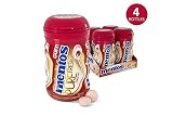 Mentos Pure Fresh Sugar-Free Chewing Gum with Xylitol, Cinnamon, 50 Piece Bottle (Pack of 4)