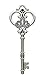 Makhry Mixed 20 Extra Large Antique Silver Finish Skeleton Keys Rustic Key for Wedding Decoration Favor(Antique Silver)
