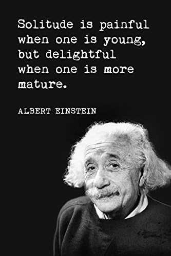 Keep Calm CollectionSolitude is Painful (Albert Einstein Quote), Motivational Poster