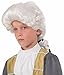 Forum Deluxe Colonial Child Wig, White