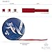 Royal Imports Wired Traditional Red Velvet Christmas Waterproof Ribbon with Gold Edge 2 1/2