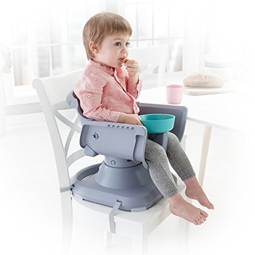 5 Fisher+Price+FFJ02+SpaceSaver+High+Chair