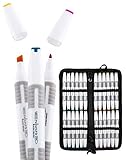 Colorona 24 Alcohol Markers Professional Art Set - Double Ended Blend-able Alcohol Based Ink Colors with Fine and Chisel Tip. Perfect for Adults and Kids – Marker Set + Bonus Carrying Case
