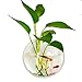 kathson Wall Fish Bowl Acrylic Hanging Aquarium Wall Mounted Bubble Betta Fish Tank Bowl Decor Plant (7.28in)