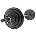 USA Sports by Troy Barbell 300 lb. Olympic Black Weight Set with Black Bar