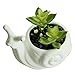 GeLive Ceramic Succulent Planter, White Snail Plant Pot with Drainage Hole, Animal Bonsai Holder Window Box for Cactus, Succulent Plants Home Office Garden Flower Pot Gifts for Plants Lover