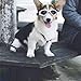 Petleso Pet Goggles, Stylish Dog Sunglasses for UV Stop Waterproof Windproof Anti-Fog Eye Protection - White