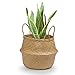 Seagrass Planter Basket | Decorative Woven Belly Basket | Picnic Basket or Indoor Storage for Blankets, Toys or Laundry, by Toma Design (Natural, Large)