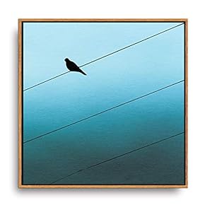 Framed Canvas Wall Art for Living Room, Bedroom Artistic Birds Canvas Prints for Modern Home Decoration Ready to Hang - 16"x16" inches