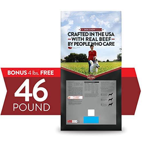 Purina Dog Chow Dry Dog Food, Complete Adult With Real Beef - 46 lb. Bag - //medicalbooks.filipinodoctors.org