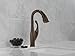 Delta Faucet Addison Bar Faucet Oil Rubbed Bronze, Bar Sink Faucet Single Hole, Wet Bar Faucets with Pull Down Sprayer, Prep Sink Faucet, Delta Touch2O Technology, Venetian Bronze 9992T-RB-DST