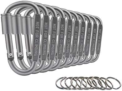 Yiapinn 10 pcs Aluminum Alloy D Shape Locking Carabiner Keychain Hook Outdoor Camping Buckle