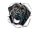 Winston & Bear 3D Dog Stickers - 2 Pack - Cute Black Labrador Retriever Stickers for Wall, Fridge, Toilet and More - Retail Packaged Black Labrador Decals