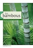 les bambous by 