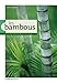 les bambous by 