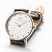Daniel Wellington Women's 0951DW Classy Sheffield Stainless Steel Watch With Black Leather Band