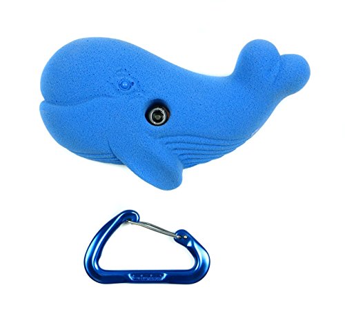 Whale | Climbing Holds | Blue