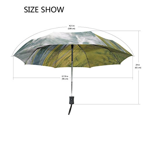 Full Automatic Portable Folding Rainy Umbrella Women Men Windproof Umbrella Printing Parapluie Paraguas