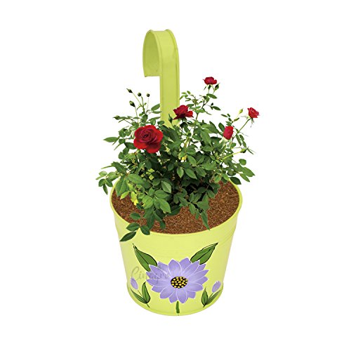 cinagro planter