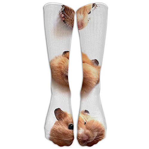 Hamster Socks Kritters in the Mailbox Hamster Sock Gifts
