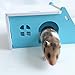 PIVBY Hamster Hideout House Wooden Living Hut Exercise Funny Nest Toy for Mouse, Chinchilla, Rat, Gerbil and Dwarf Hamster-2 Packs (Blue)