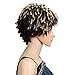 QUEEN VIRGIN REMY QVR Short Wigs for Black Women Ombre Pixie Cuts Hair Wigs Synthetic Dreadlock Wigs for Women Heat Resistant Fiber Hair Wig Color (DYTD4/BLONDE)