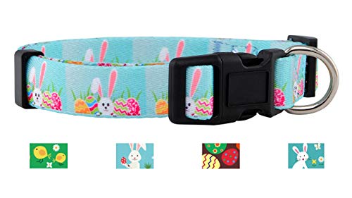 Native Pup Easter Dog Collar (Bunny+Eggs, Medium)