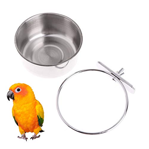 QBLEEV Bird Feeder Cup, Parakeet Conure Cage Food Bowl, Stainless Steel Chicken Coop Cup, Water Feeding Dishes, Parrot Perch Stands (Large 1 Pack)