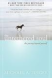 The Untethered Soul: The Journey Beyond Yourself