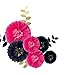 Fonder Mols Tissue Paper Chrysanth Flowers with Butterfly and Olive Leaves for Wedding Bridal Shower Baby Shower Bachelorette Birthday Party Nursery Wall Decorations (Set of 21, Black & Hot Pink)