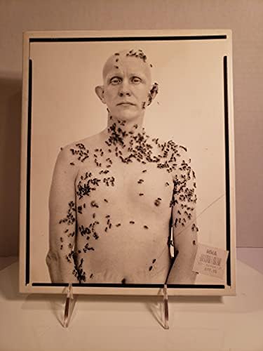 The Sixties: Doon Arbus, Richard Avedon: 9780679409236: Amazon.com