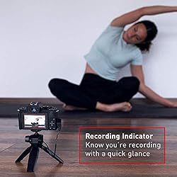 Panasonic LUMIX G100 Mirrorless