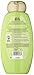 Garnier Whole Blends Refreshing 2in1 Shampoo with Green Apple & Green Tea Extracts, 22 fl. oz.
