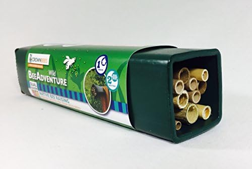 Crown Bees Wild Bee Adventure Kit