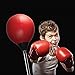 Protocol Boxing Ball Set with Punching Bag, Boxing Gloves, Jump Rope, & Adjustable Height Stand