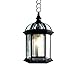 ETOPLIGHTING Bella Luce Collection Exterior Outdoor Wall Lantern, Oil Rubbed Rust Body Finish Clear Seeded Glass, APL1023